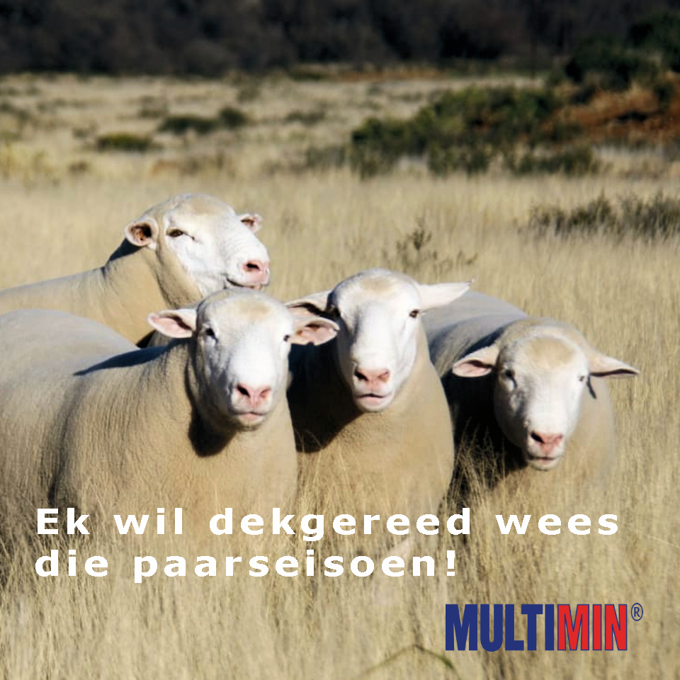 Spoor Minerale vir Ramme