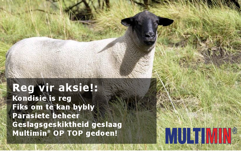 SM RAM campaign W2 (afr).jpg