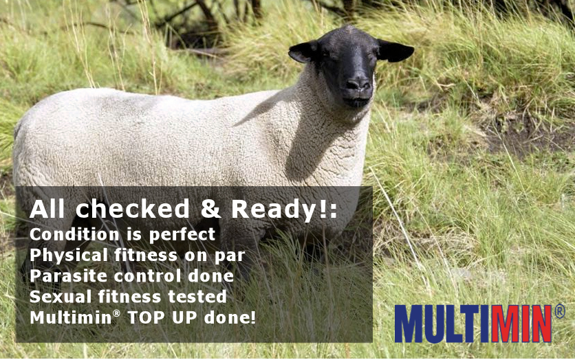 SM RAM campaign W2 (Eng).jpg