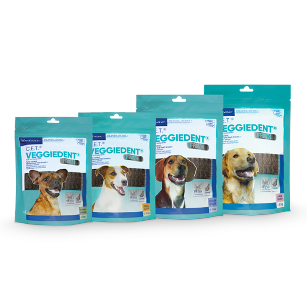 veggiedent ingredients