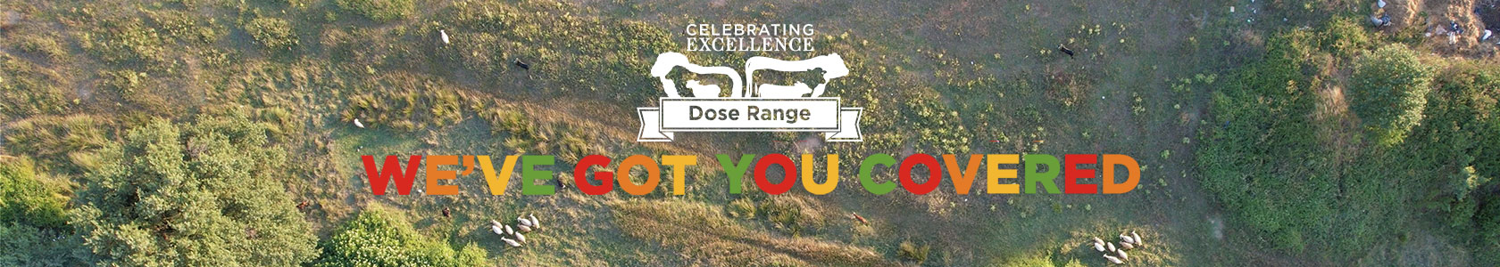 Multimin webbanner dam competition 1000px x 318px 2