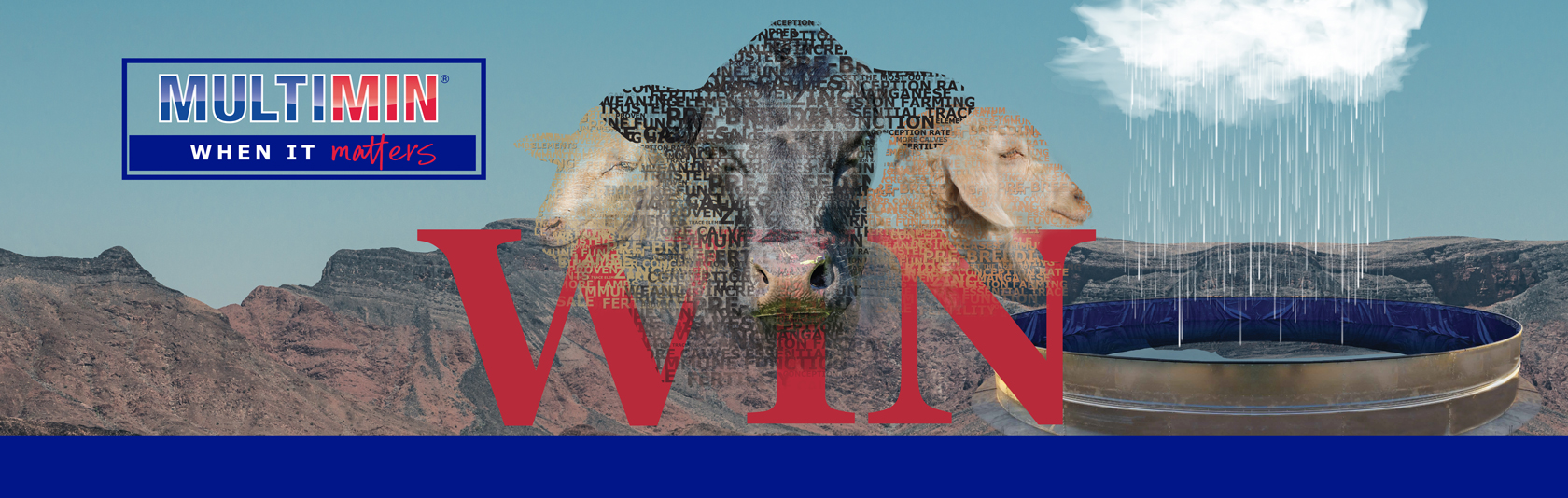 Multimin webbanner dam competition 1000px x 318px 2 Multimin webbanner dam competition 1000px x 318px 2