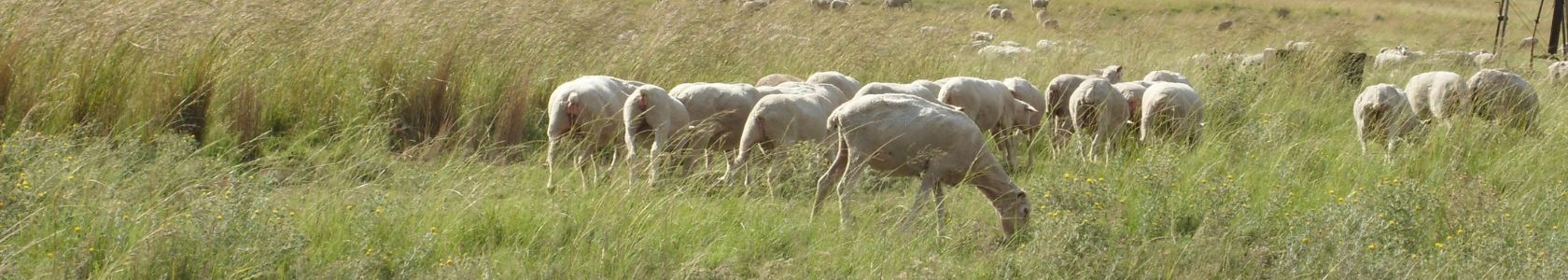 B2C Page banner  for article 1680*300px - 8