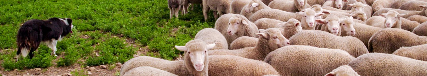 B2C Page banner  for article 1680*300px - 2