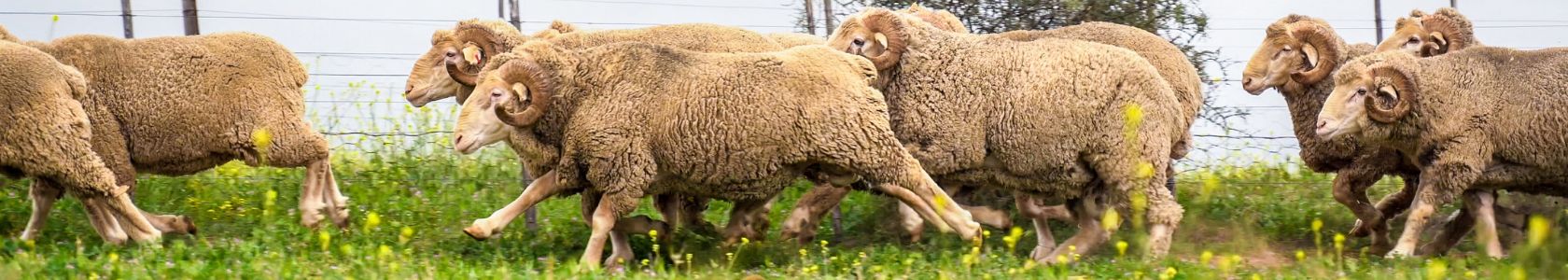 B2C Page banner  for article 1680*300px - 4