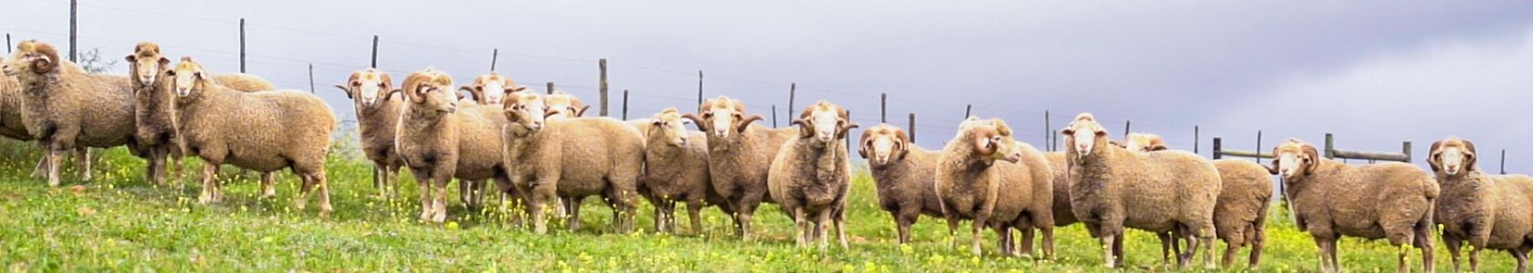 B2C Page banner  for article 1680*300px - 3