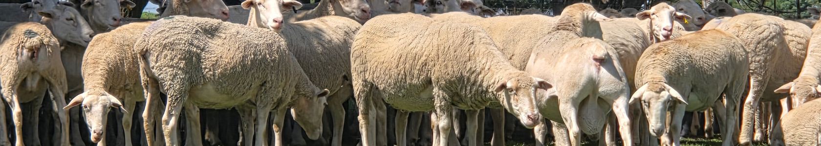 B2C Page banner  for article 1680*300px - 6