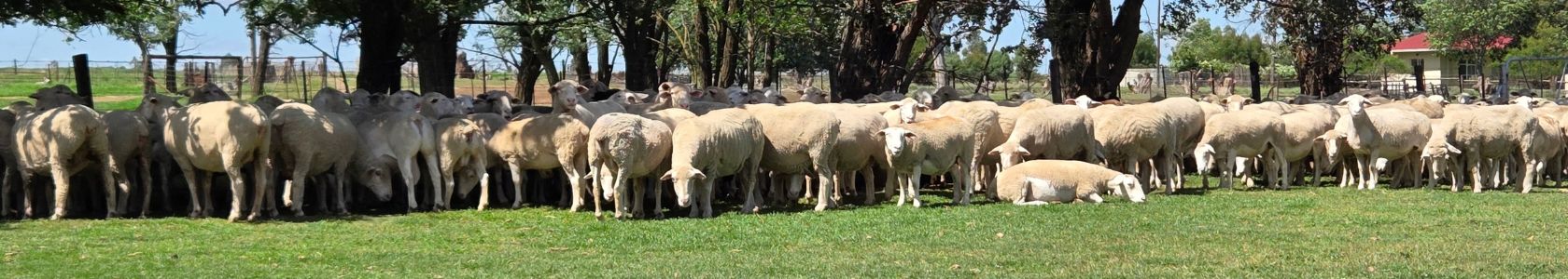 B2C Page banner  for article 1680*300px - 7