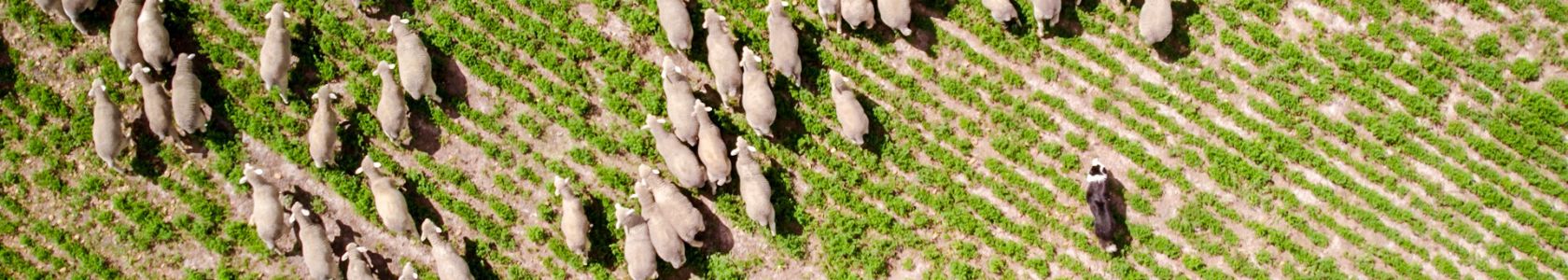 B2C Page banner  for article 1680*300px - 5