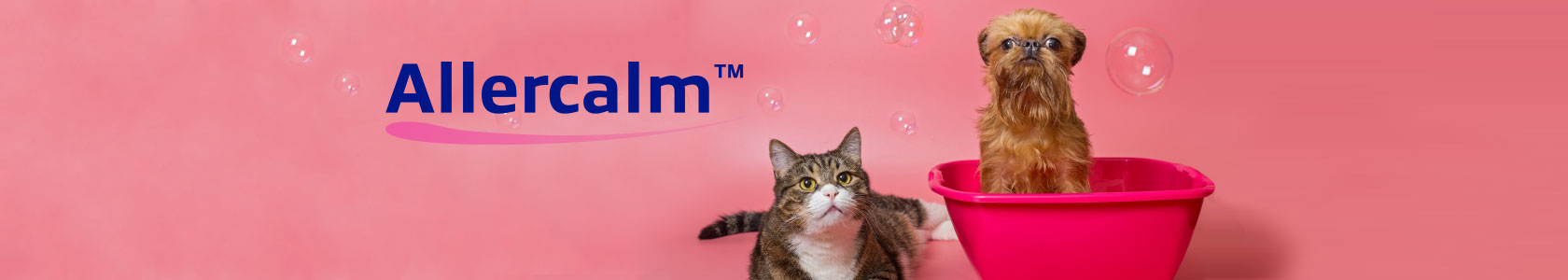 Multimin webbanner dam competition 1000px x 318px 2 Multimin webbanner dam competition 1000px x 318px 2