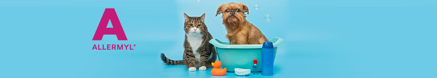 Multimin webbanner dam competition 1000px x 318px 2