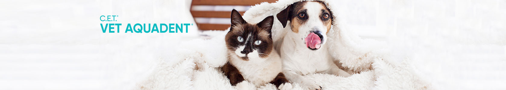 Multimin webbanner dam competition 1000px x 318px 2