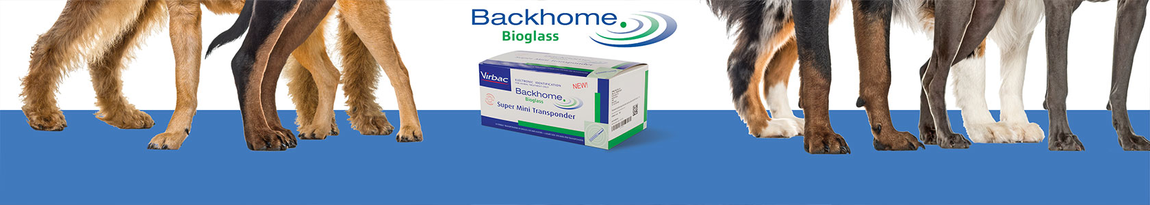 Multimin webbanner dam competition 1000px x 318px 2