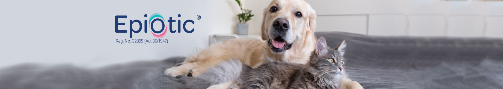 Multimin webbanner dam competition 1000px x 318px 2 Multimin webbanner dam competition 1000px x 318px 2