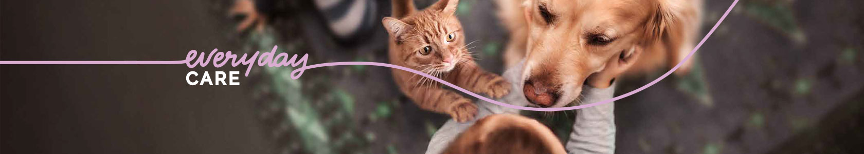 Multimin webbanner dam competition 1000px x 318px 2