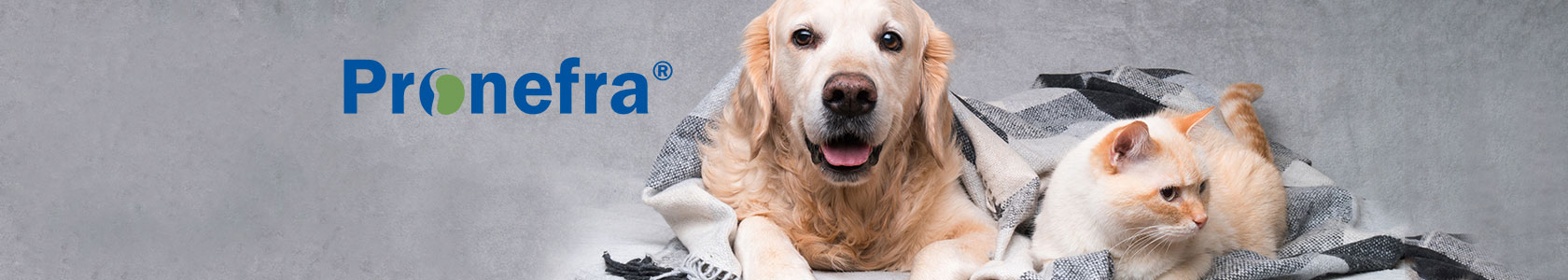 Multimin webbanner dam competition 1000px x 318px 2 Multimin webbanner dam competition 1000px x 318px 2