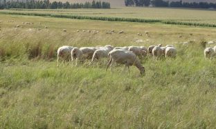 B2C Preview pics for articles - 8