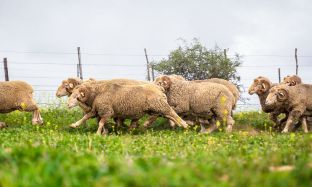 B2C Preview pics for articles - 4