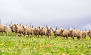 B2C Preview pics for articles - 3