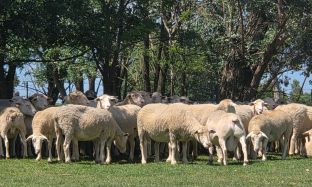 B2C Preview pics for articles - 6