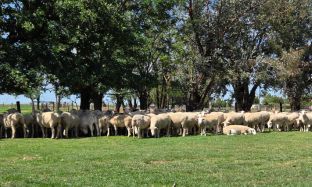 B2C Preview pics for articles - 7