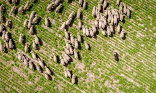 B2C Preview pics for articles - 5