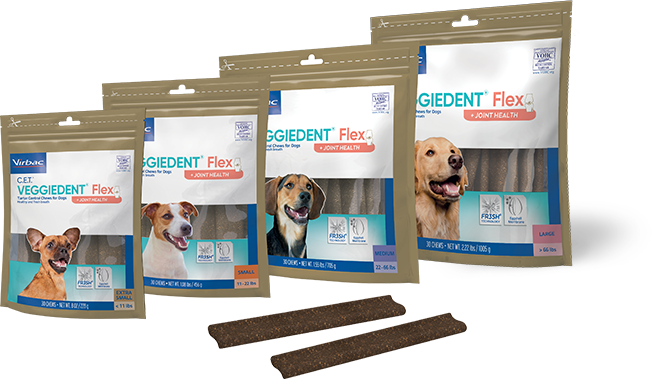 Dental flex for dogs top