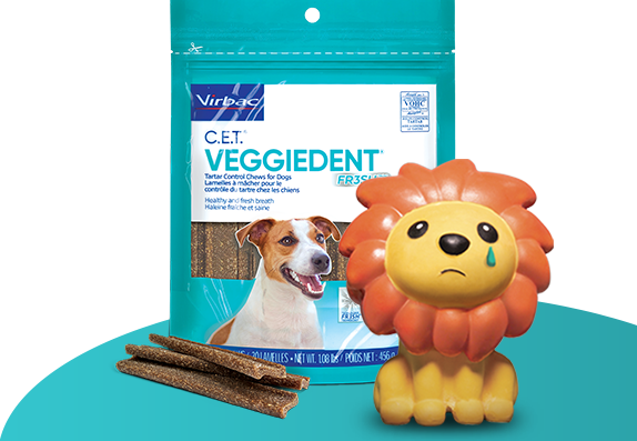 Cet veggie dent discount